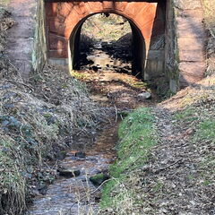 23-03-03 12-17-21 4632